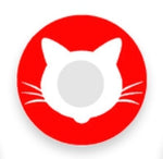 Cat Red Crazy Lenses